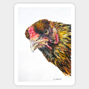 Inez the Brahma Chicken Sticker